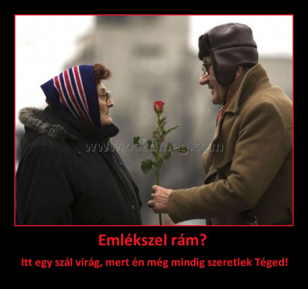 Emlékszel rám? 
 
Itt egy szál virág, mert én még mindig szeretlek Téged!