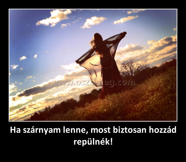 Ha szárnyam lenne, most biztosan hozzád repülnék!
 
