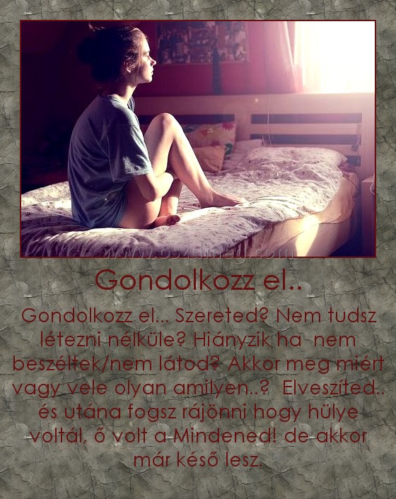 Gondolkozz el.. Gondolkozz el..
Gondolkozz el... Szereted? Nem tudsz létezni nélküle? Hiányzik ha nem beszéltek/nem látod? Akkor meg miért vagy vele olyan amilyen..? Elveszíted.. és utána fogsz rájönni hogy hülye voltál, ő volt a Mindened! de akkor már késő lesz.