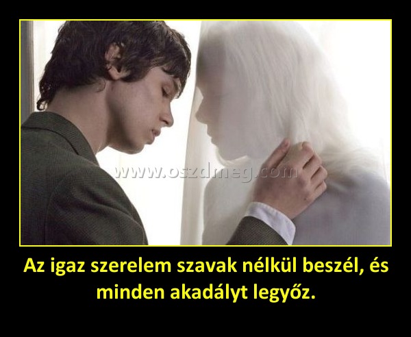 Az igaz szerelem szavak nélkül beszél, és minden akadályt legyőz. Az igaz szerelem szavak nélkül beszél, és minden akadályt legyőz.