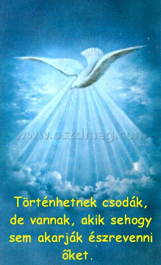 Történhetnek csodák Történhetnek csodák
Történhetnek csodák, de vannak, akik sehogy sem akarják észrevenni őket.