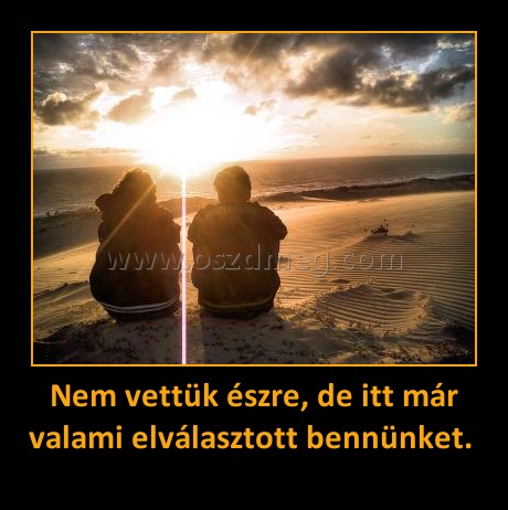 Nem vettük észre, de itt már valami elválasztott bennünket. Nem vettük észre, de itt már valami elválasztott bennünket.