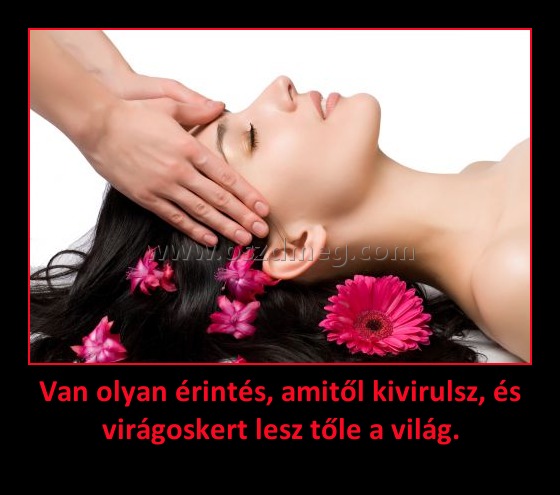 Van olyan érintés, amitől kivirulsz, és virágoskert lesz tőle a világ.
 
