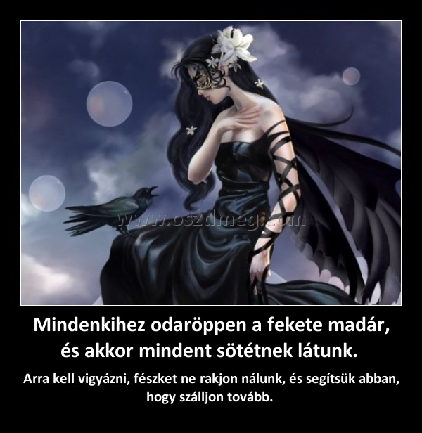 Mindenkihez odaröppen a fekete madár, és akkor mindent sötétnek látunk. Mindenkihez odaröppen a fekete madár, és akkor mindent sötétnek látunk.
Arra kell vigyázni, fészket ne rakjon nálunk, és segítsük abban, hogy szálljon tovább.