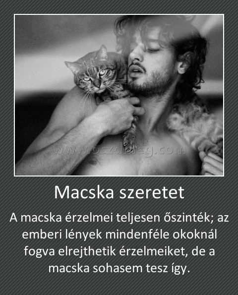 Macska szeretet
 
A macska érzelmei teljesen őszinték; az emberi lények mindenféle okoknál fogva elrejthetik érzelmeiket, de a macska sohasem tesz így.