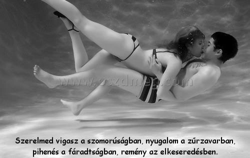 Szerelmed vigasz a szomorúságban,
 
Szerelmed vigasz a szomorúságban, nyugalom a zűrzavarban, pihenés a fáradtságban, remény az elkeseredésben.