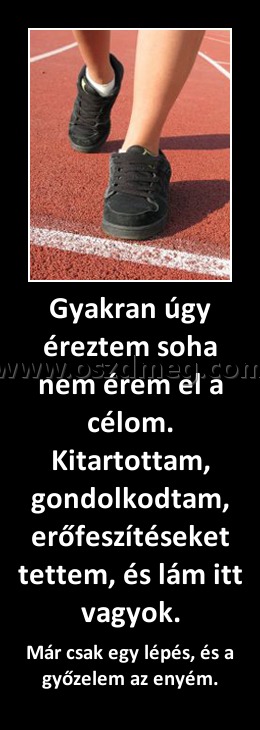 Gyakran úgy éreztem soha nem érem el a célom. Kitartottam, gondolkodtam, erőfeszítéseket tettem, és lám itt vagyok. Gyakran úgy éreztem soha nem érem el a célom. Kitartottam, gondolkodtam, erőfeszítéseket tettem, és lám itt vagyok.
Már csak egy lépés, és a győzelem az enyém.