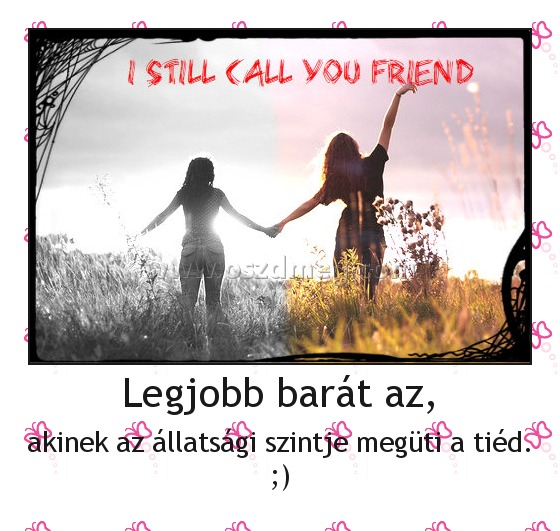 Legjobb barát az,
 
akinek az állatsági szintje megüti a tiéd. ;)
