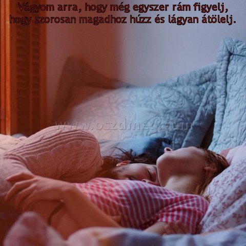 Vágyom arra Vágyom arra
Vágyom arra, hogy még egyszer rám figyelj, hogy szorosan magadhoz húzz és lágyan átölelj.