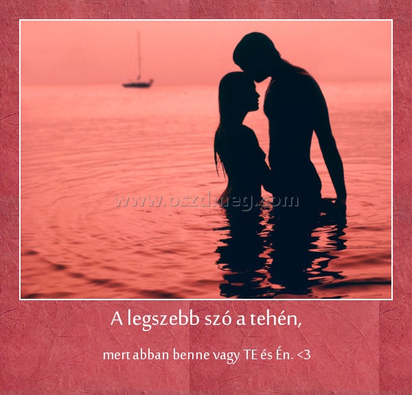 A legszebb szó a tehén,
 
mert abban benne vagy TE és Én. <3