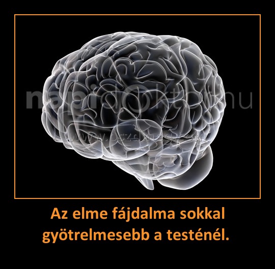 Az elme fájdalma sokkal gyötrelmesebb a testénél. Az elme fájdalma sokkal gyötrelmesebb a testénél.