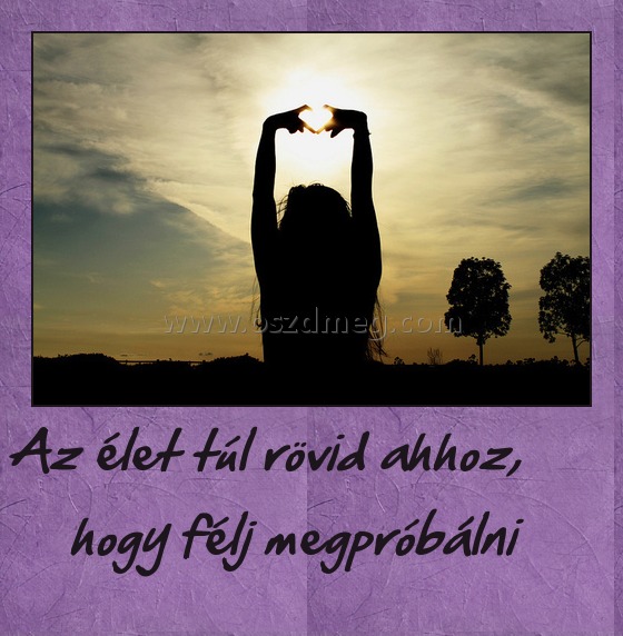 Az élet túl rövid ahhoz, hogy félj megpróbálni
 
