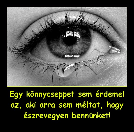 Egy könnycseppet sem érdemel az, aki arra sem méltat, hogy észrevegyen bennünket! Egy könnycseppet sem érdemel az, aki arra sem méltat, hogy észrevegyen bennünket!