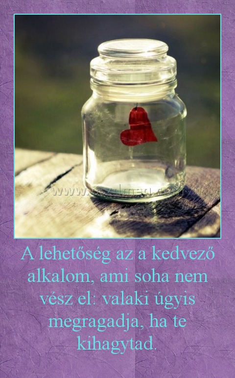 A lehetőség az a kedvező alkalom, ami soha nem vész el: valaki úgyis megragadja, ha te kihagytad. A lehetőség az a kedvező alkalom, ami soha nem vész el: valaki úgyis megragadja, ha te kihagytad.