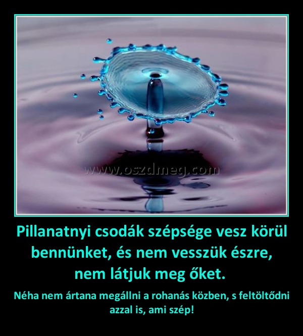 Pillanatnyi csodák szépsége vesz körül bennünket, és nem vesszük észre, nem látjuk meg őket. 
 
Néha nem ártana megállni a rohanás közben, s feltöltődni azzal is, ami szép!