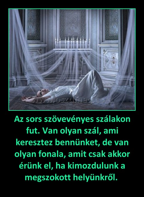 Az sors szövevényes szálakon fut. Van olyan szál, ami keresztez bennünket, de van olyan fonala, amit csak akkor érünk el, ha kimozdulunk a megszokott helyünkről. 
 
