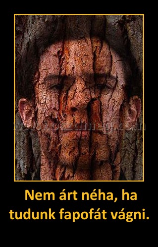  Nem árt néha, ha tudunk fapofát vágni.
 
