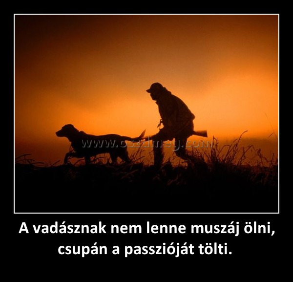 A vadásznak nem lenne muszáj ölni, csupán a passzióját tölti. A vadásznak nem lenne muszáj ölni, csupán a passzióját tölti.