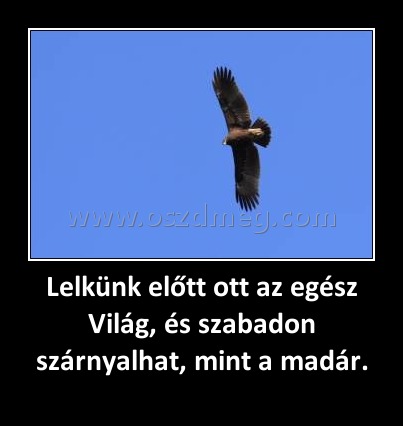 Lelkünk előtt ott az egész Világ, és szabadon szárnyalhat, mint a madár. Lelkünk előtt ott az egész Világ, és szabadon szárnyalhat, mint a madár.