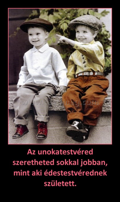 Az unokatestvéred szeretheted sokkal jobban, mint aki édestestvérednek született.
 
