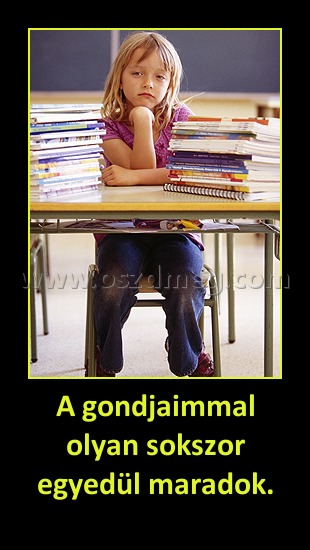 A gondjaimmal olyan sokszor egyedül maradok.
 
