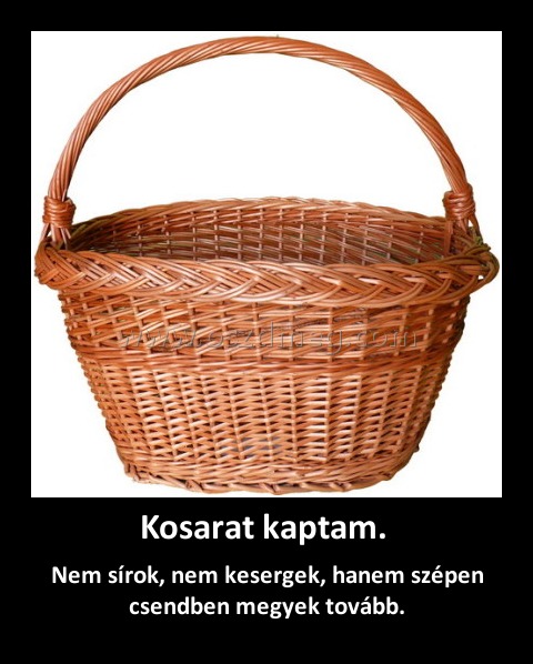 Kosarat kaptam. Kosarat kaptam.
Nem sírok, nem kesergek, hanem szépen csendben megyek tovább.