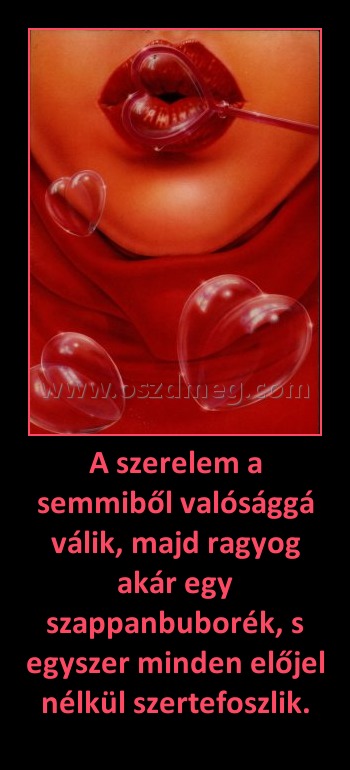 A szerelem a semmiből valósággá válik, majd ragyog akár egy szappanbuborék, s egyszer minden előjel nélkül szertefoszlik. A szerelem a semmiből valósággá válik, majd ragyog akár egy szappanbuborék, s egyszer minden előjel nélkül szertefoszlik.