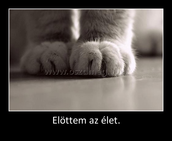 Elöttem az élet.
 
