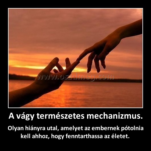 A vágy természetes mechanizmus.
 
Olyan hiányra utal, amelyet az embernek pótolnia kell ahhoz, hogy fenntarthassa az életet. 