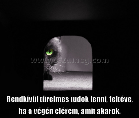 Rendkívül türelmes tudok lenni, Rendkívül türelmes tudok lenni,
Rendkívül türelmes tudok lenni, feltéve, ha a végén elérem, amit akarok.