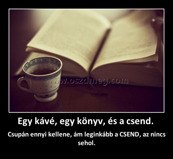 Egy kávé, egy könyv, és a csend. Egy kávé, egy könyv, és a csend.
Csupán ennyi kellene, ám leginkább a CSEND, az nincs sehol.