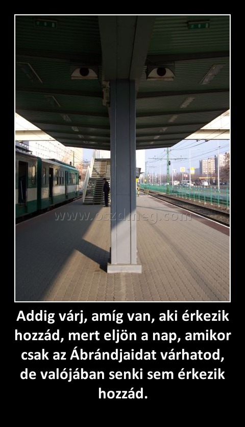 Addig várj, amíg van, aki érkezik hozzád, mert eljön a nap, amikor csak az Ábrándjaidat várhatod, de valójában senki sem érkezik hozzád. Addig várj, amíg van, aki érkezik hozzád, mert eljön a nap, amikor csak az Ábrándjaidat várhatod, de valójában senki sem érkezik hozzád.