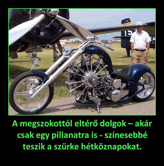 A megszokottól eltérő dolgok – akár csak egy pillanatra is - színesebbé teszik a szürke hétköznapokat.
 
