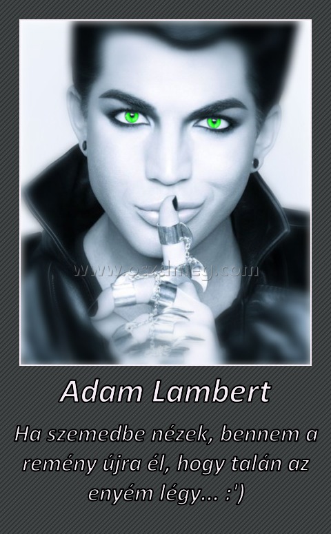 Adam Lambert Adam Lambert
Ha szemedbe nézek, bennem a remény újra él, hogy talán az enyém légy... :')