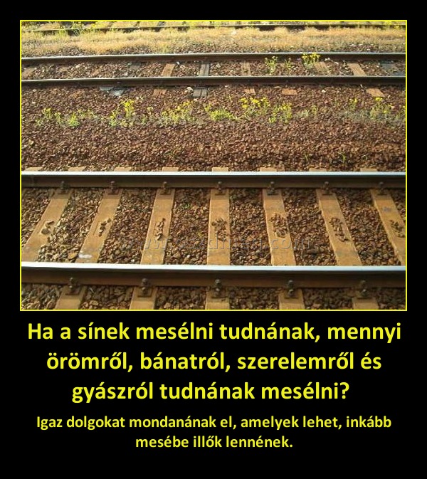 Ha a sínek mesélni tudnának, mennyi örömről, bánatról, szerelemről és gyászról tudnának mesélni? Ha a sínek mesélni tudnának, mennyi örömről, bánatról, szerelemről és gyászról tudnának mesélni?
Igaz dolgokat mondanának el, amelyek lehet, inkább mesébe illők lennének.