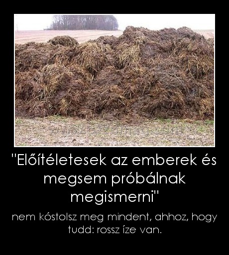 "Előítéletesek az emberek és megsem próbálnak megismerni"
 
nem kóstolsz meg mindent, ahhoz, hogy tudd: rossz íze van.