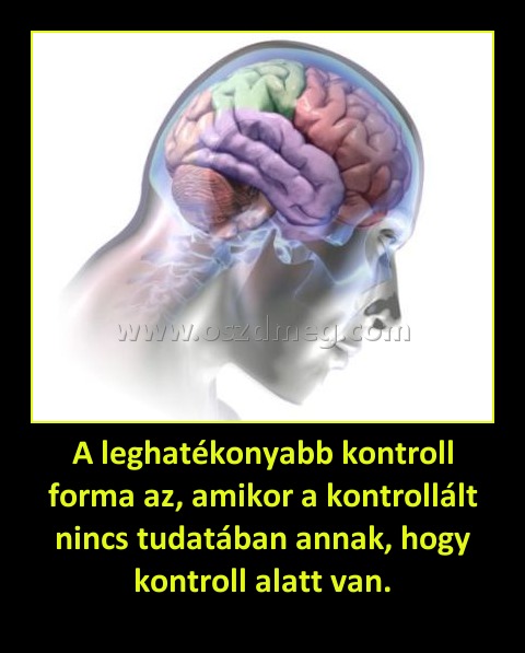 A leghatékonyabb kontroll forma az, amikor a kontrollált nincs tudatában annak, hogy kontroll alatt van. A leghatékonyabb kontroll forma az, amikor a kontrollált nincs tudatában annak, hogy kontroll alatt van.