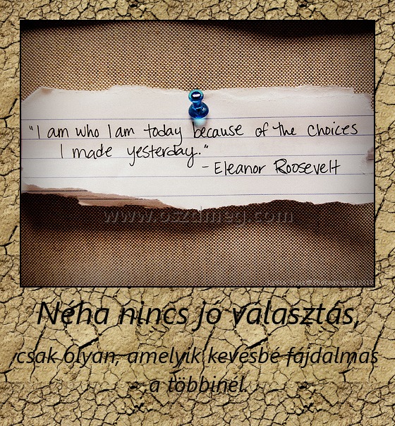 Néha nincs jó választás, Néha nincs jó választás,
csak olyan, amelyik kevésbé fájdalmas a többinél.