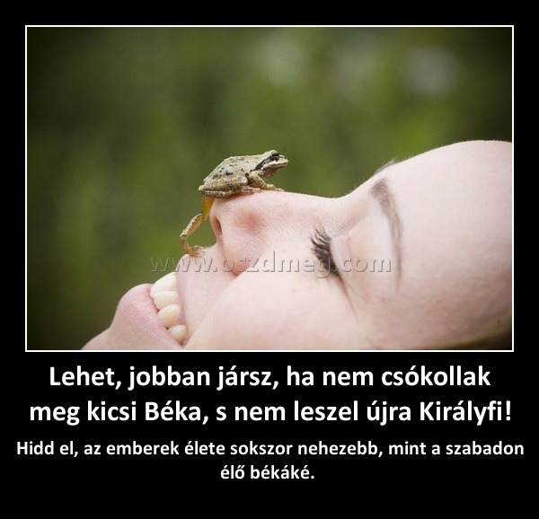 Lehet, jobban jársz, ha nem csókollak meg kicsi Béka, s nem leszel újra Királyfi! Lehet, jobban jársz, ha nem csókollak meg kicsi Béka, s nem leszel újra Királyfi!
Hidd el, az emberek élete sokszor nehezebb, mint a szabadon élő békáké.