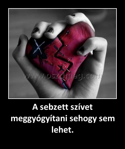 A sebzett szívet meggyógyítani sehogy sem lehet. A sebzett szívet meggyógyítani sehogy sem lehet.