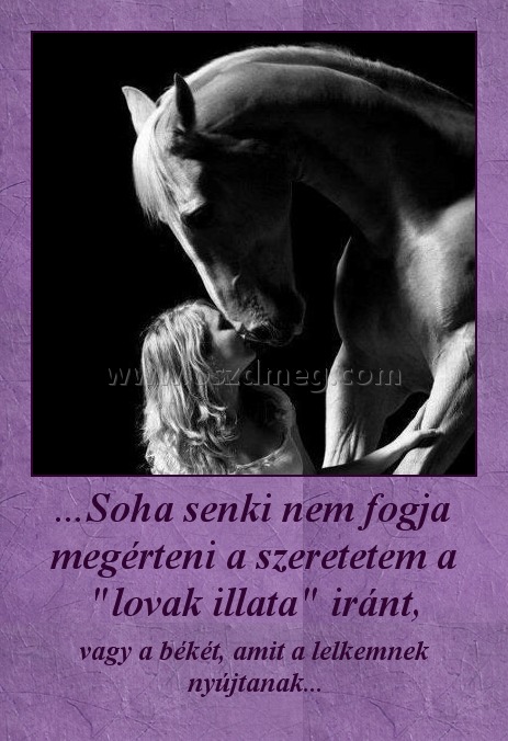 ...Soha senki nem fogja megérteni a szeretetem a "lovak illata" iránt,
 
vagy a békét, amit a lelkemnek nyújtanak...