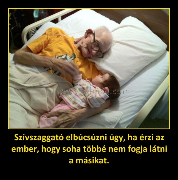 Szívszaggató elbúcsúzni úgy, ha érzi az ember, hogy soha többé nem fogja látni a másikat. Szívszaggató elbúcsúzni úgy, ha érzi az ember, hogy soha többé nem fogja látni a másikat.