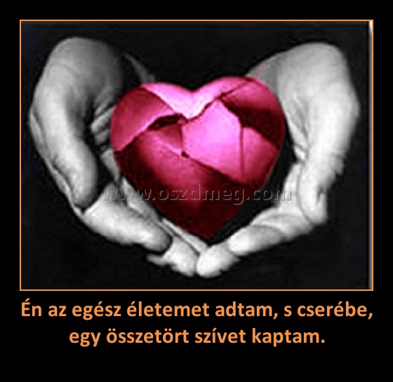 Én az egész életemet adtam, s cserébe, egy összetört szívet kaptam. Én az egész életemet adtam, s cserébe, egy összetört szívet kaptam.