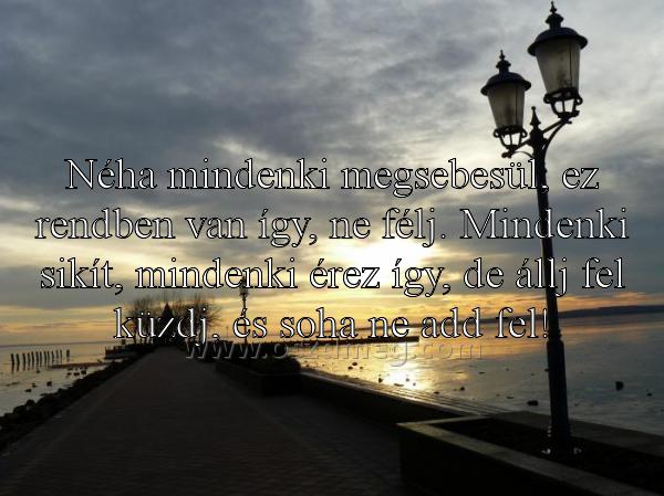 Néha mindenki megsebesül Néha mindenki megsebesül
Néha mindenki megsebesül, ez rendben van így, ne félj. Mindenki sikít, mindenki érez így, de állj fel küzdj, és soha ne add fel!