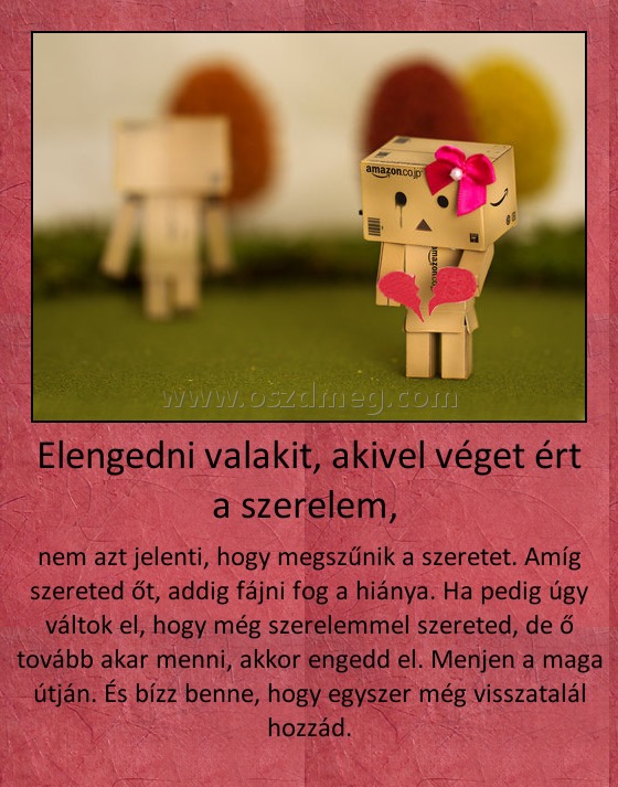 Elengedni valakit, akivel véget ért a szerelem, Elengedni valakit, akivel véget ért a szerelem,
nem azt jelenti, hogy megszűnik a szeretet. Amíg szereted őt, addig fájni fog a hiánya. Ha pedig úgy váltok el, hogy még szerelemmel szereted, de ő tovább akar menni, akkor engedd el. Menjen a maga útján. És bízz benne, hogy egyszer még visszatalál hozzád.
